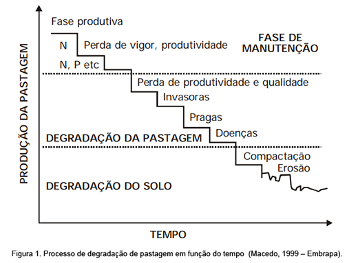 Processo de degradação de pastagem em função do tempo (Macedo, 1999 – Embrapa degradação de pastagem em função do tempo (Macedo, 1999 – Embrapa)