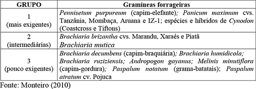 Classificação das principais gramíneas utilizadas nas condições brasileiras