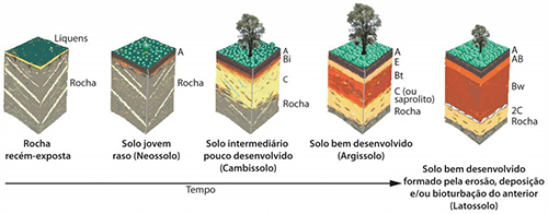 Intemperismo da rocha recém-exposta dando origem a solo mais maduro e intemperizado (Fonte: Lepsch, 2000).